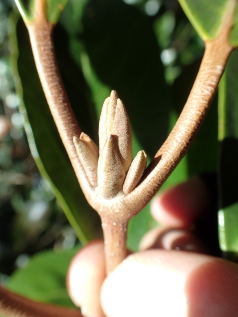 P2260379 H ~m .JPG