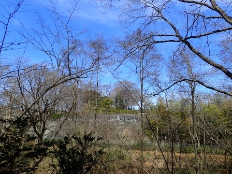 P3180508 nmLm.JPG