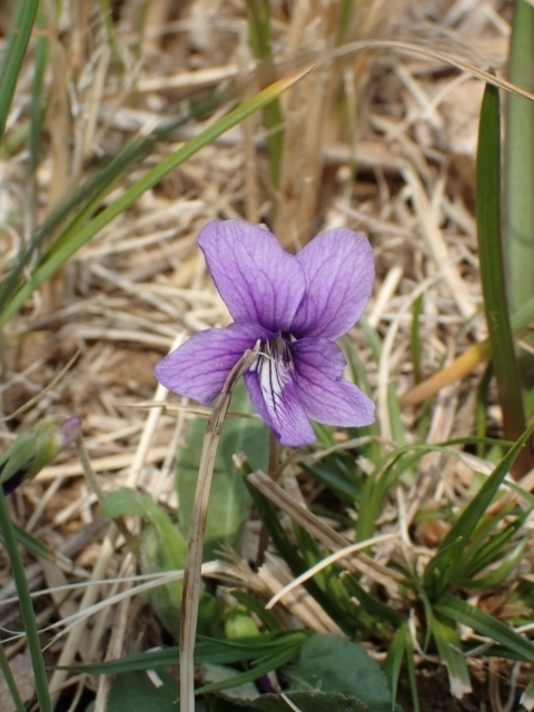 P3240589 mWX~m.JPG