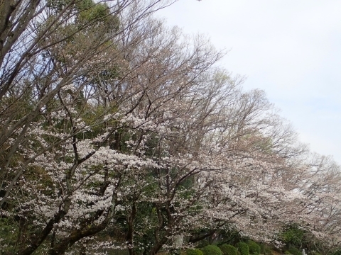 P3280619 m.JPG