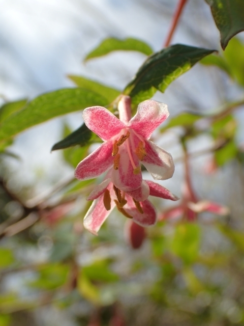 P3280623 EOCXJOm.JPG