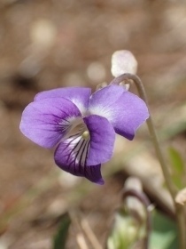 P3280624 jIC^`c{X~s.JPG