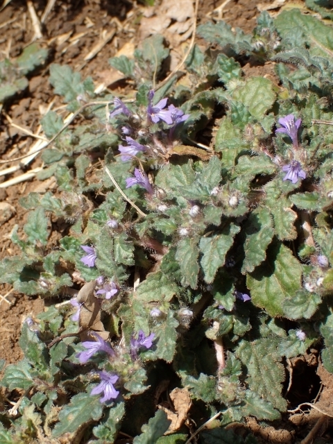 P3280633 L\Em.JPG