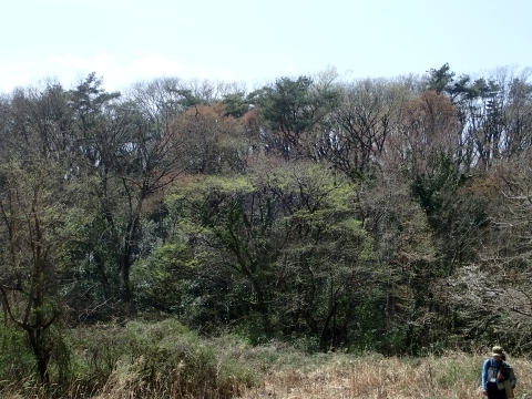 P3280634 ڂ̎Gؗѕim.JPG
