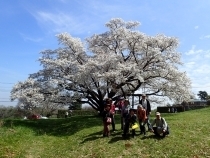 P3280645 {@As.JPG