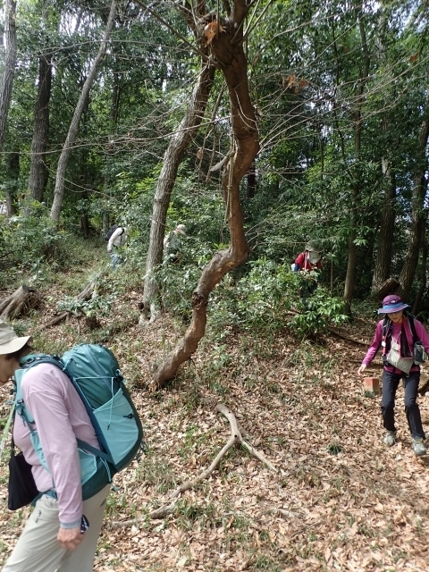 P3280659NA Am.JPG