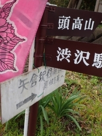P3300753 Ws.JPG