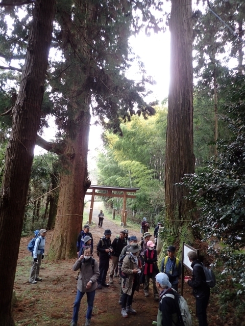 P3300760 R_ 吙m.JPG