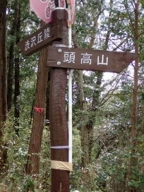 P3300778 Ws.JPG