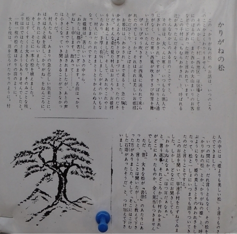P3300802 肪˂̏@m.JPG
