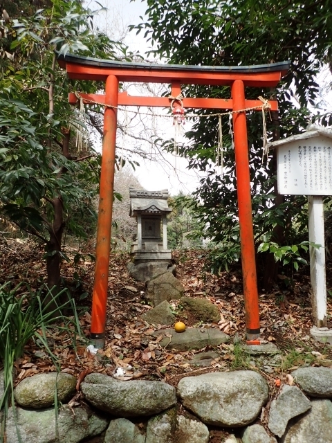P3300816 lm.JPG