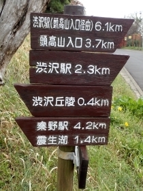 P3300826 Ws.JPG