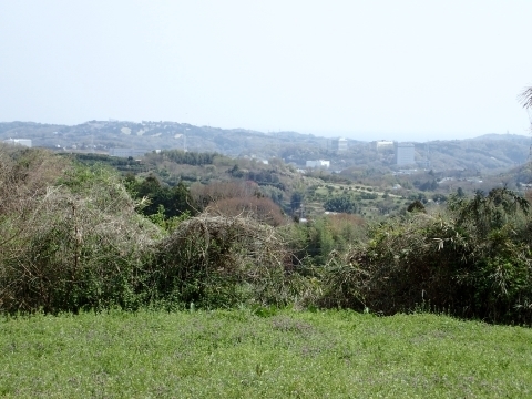 P3300837 au˂̓W]m.JPG