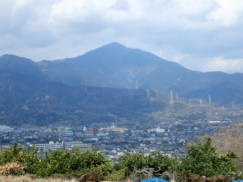 P3300841 au˂Rm.JPG