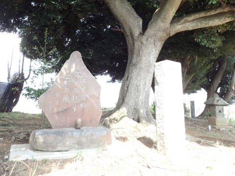 P3300843 cЕF̔m.JPG