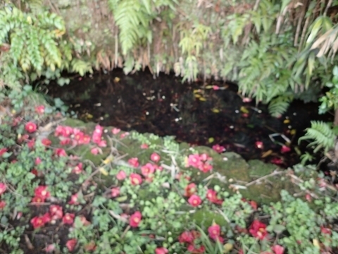 P3300868 ̐.JPG