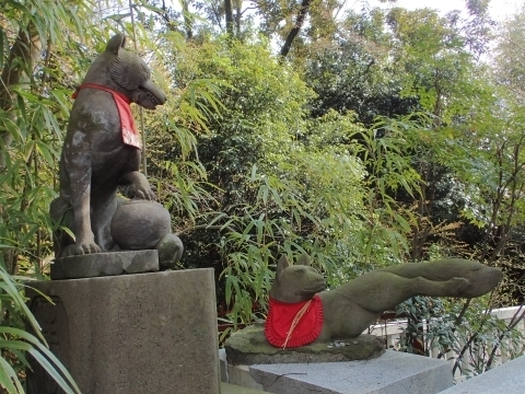 P3300872   ς񂽂m.JPG