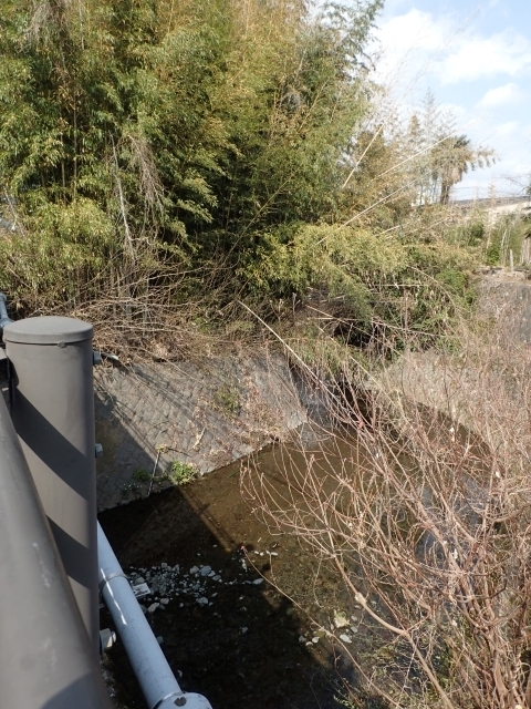 P3300878 Hm.JPG