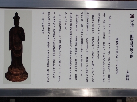P3300882 Rx@@\ʊωm.JPG