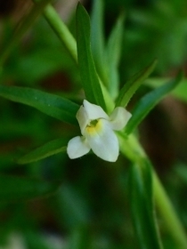 P4064121 N`iVOTs.jpg