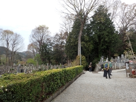 P4101266 VR@ߓHm.JPG