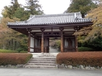 P4101272 \ms.JPG