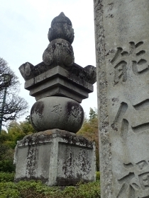 P4101273 \ms.JPG