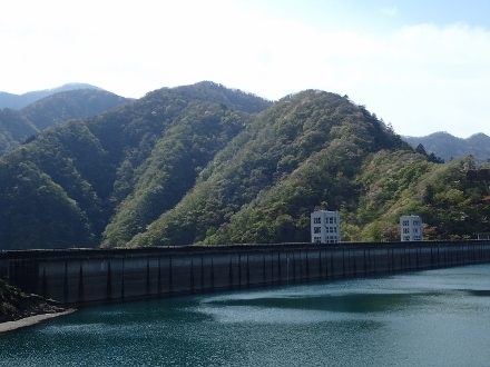 P4120159 (440x330).jpg