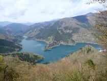 P4120184 (210x158).jpg
