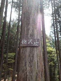 P4120191サス沢山 (210x280).jpg