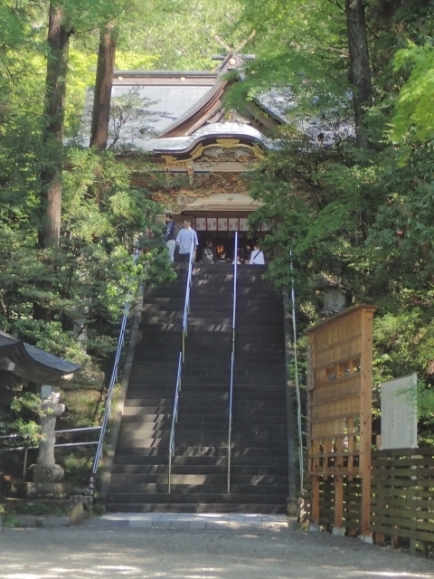 P5031670 oR_m.JPG