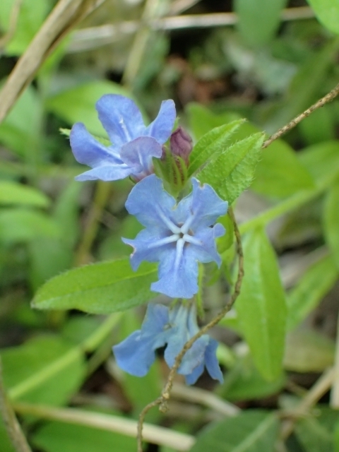 P5031685 oR z^JYm.JPG