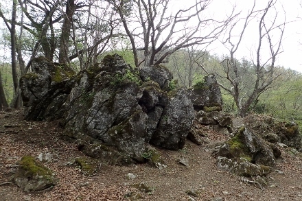 P5070952 岩の群れ(440x293).jpg