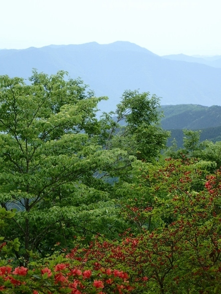 P5172076眺望 権現山より (443x590).jpg