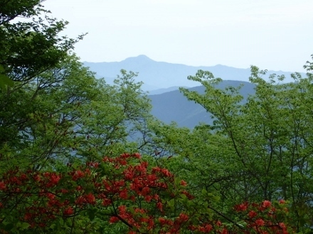 P5172077眺望 権現山より (440x330).jpg