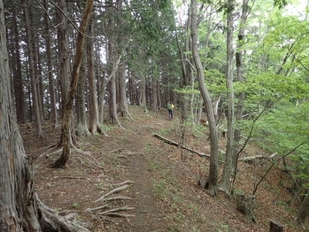 P5172108 (440x330).jpg