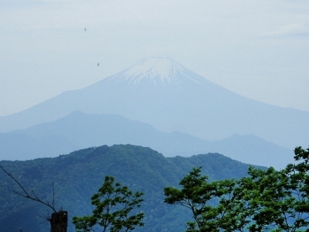 P5172121富士山 雨降山より (440x330).jpg