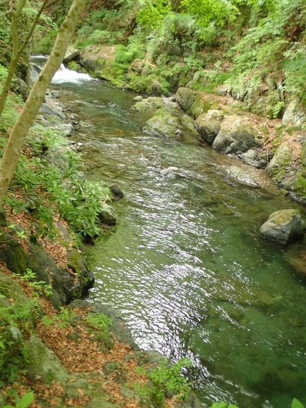 P5172182 (443x590).jpg