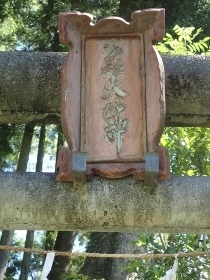 P5202235 (210x280).jpg