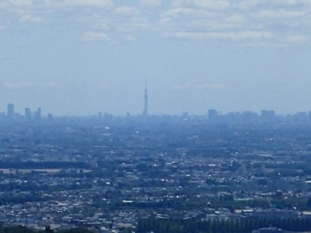 P5202255 (440x330)スカイツリー.jpg