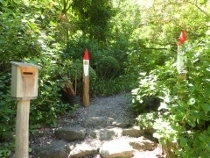 P5202289 (210x158).jpg