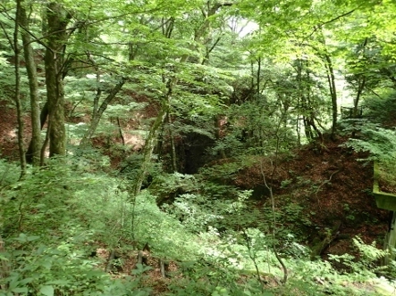 P7134423 (443x332).jpg