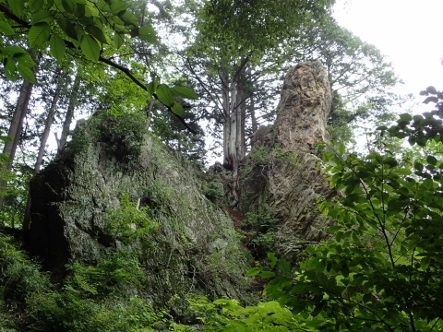 P7134501天狗岩1436 (443x332).jpg