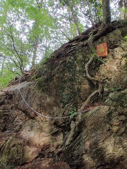 P7134506天狗岩登り口 (443x590).jpg
