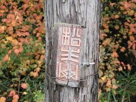 PB078155松生山1158 (440x330).jpg