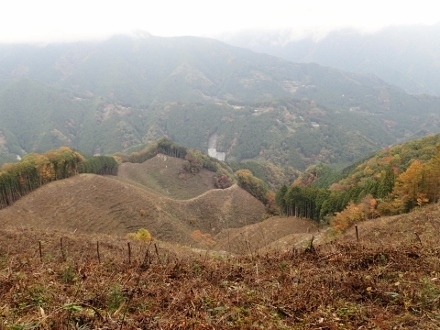 PB078172 (440x330).jpg