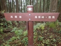 PB078179 (210x158).jpg