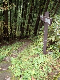 PB078202 (210x280).jpg