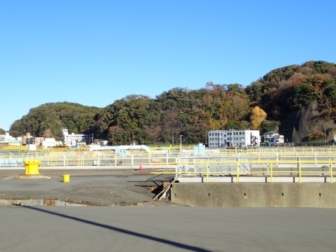 PC229473 YꑢDm.JPG