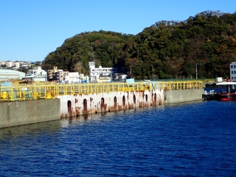 PC229474 YꑢDm.JPG